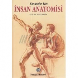 Anka Art - İnsan Anatomisi