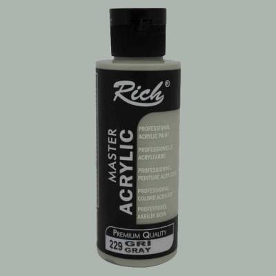 Rich Master Akrilik Boya 120ml 229 Gri