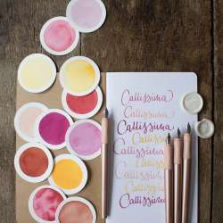 Schneider Calligraphy Callissima Dolma Kalem Apricot 1,1mm - 4