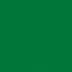Staedtler - Staedtler Triplus Color Keçe Uçlu Kalem 5 Green