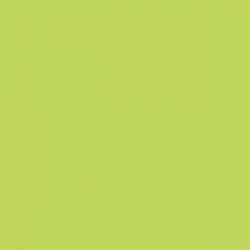 Staedtler - Staedtler Triplus Color Keçe Uçlu Kalem 53 Lime Green