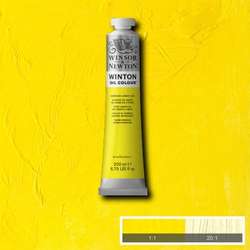 Winsor&Newton - Winsor&Newton Winton Yağlı Boya 200 ml No:7 Cadmium Lemon Hue