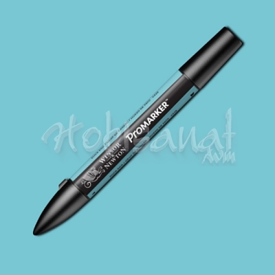 Winsor & Newton Promarker Duck Egg C528