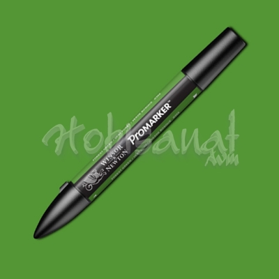 Winsor & Newton Promarker Forest Green G356