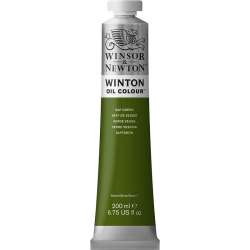 Winsor&Newton - Winsor&Newton Winton Yağlı Boya 200ml 599 (37) Sap Green