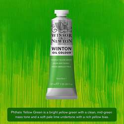 Winsor&Newton - Winsor&Newton Winton Yağlı Boya 37ml 403 Phthalo Yellow Green